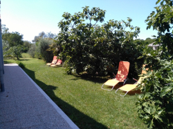 Apartmani ADRI Štinjan 