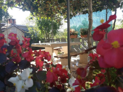 Apartmani M&M Žminj