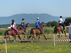 Appartamenti Pavek Pisarovina